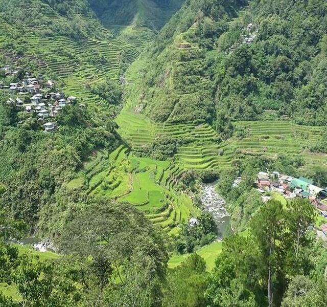 Han ohan bobled  Pula  hi baranggay di Banawi